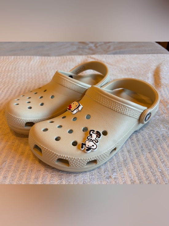 CROCS Other - Crocs Kids Beige Clog with Fun Character Charms
